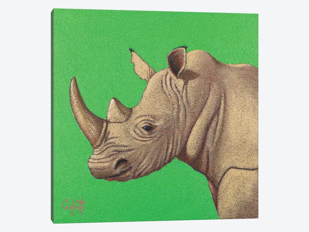 Rhinoceros by Stefano Calisti 1-piece Canvas Art Print