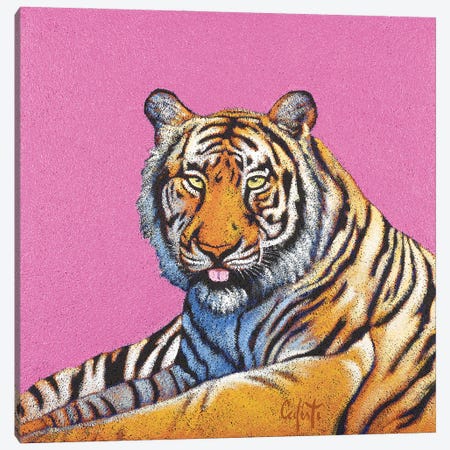 Tiger Canvas Print #SFC29} by Stefano Calisti Canvas Wall Art