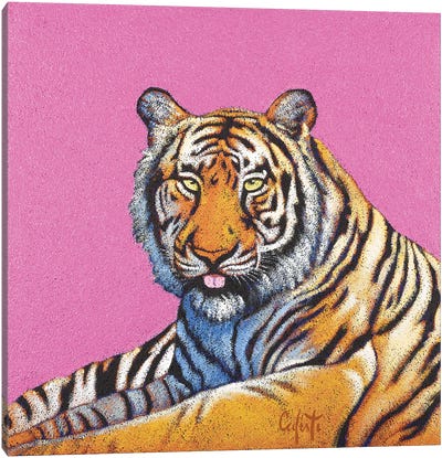 Tiger Canvas Art Print - Stefano Calisti