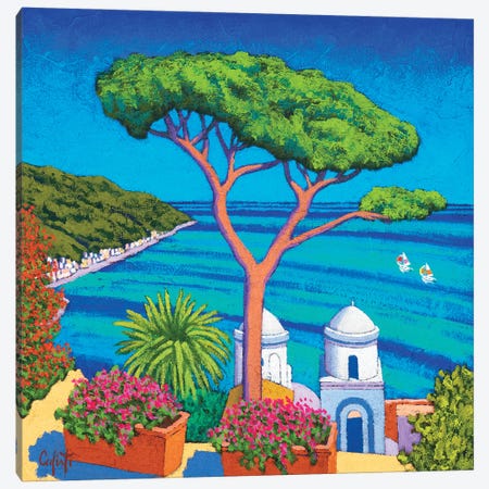 View To The Sea With Trees Canvas Print #SFC31} by Stefano Calisti Art Print