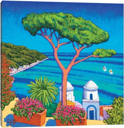 View To The Sea With Trees Canvas Art Print - Stefano Calisti