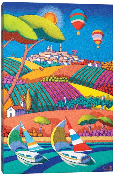 Vineyard Landscape II Canvas Art Print - Stefano Calisti