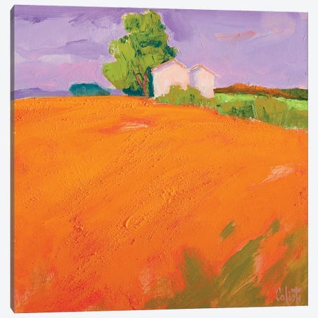 Wit For Me In The Orange Fields Canvas Print #SFC36} by Stefano Calisti Canvas Wall Art