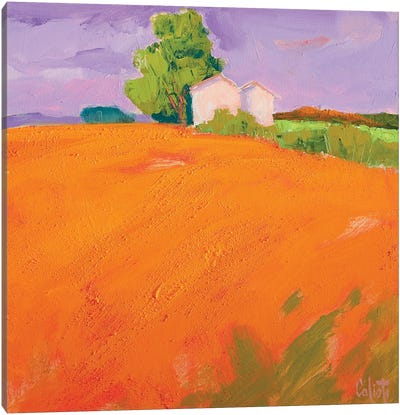 Wit For Me In The Orange Fields Canvas Art Print - Stefano Calisti