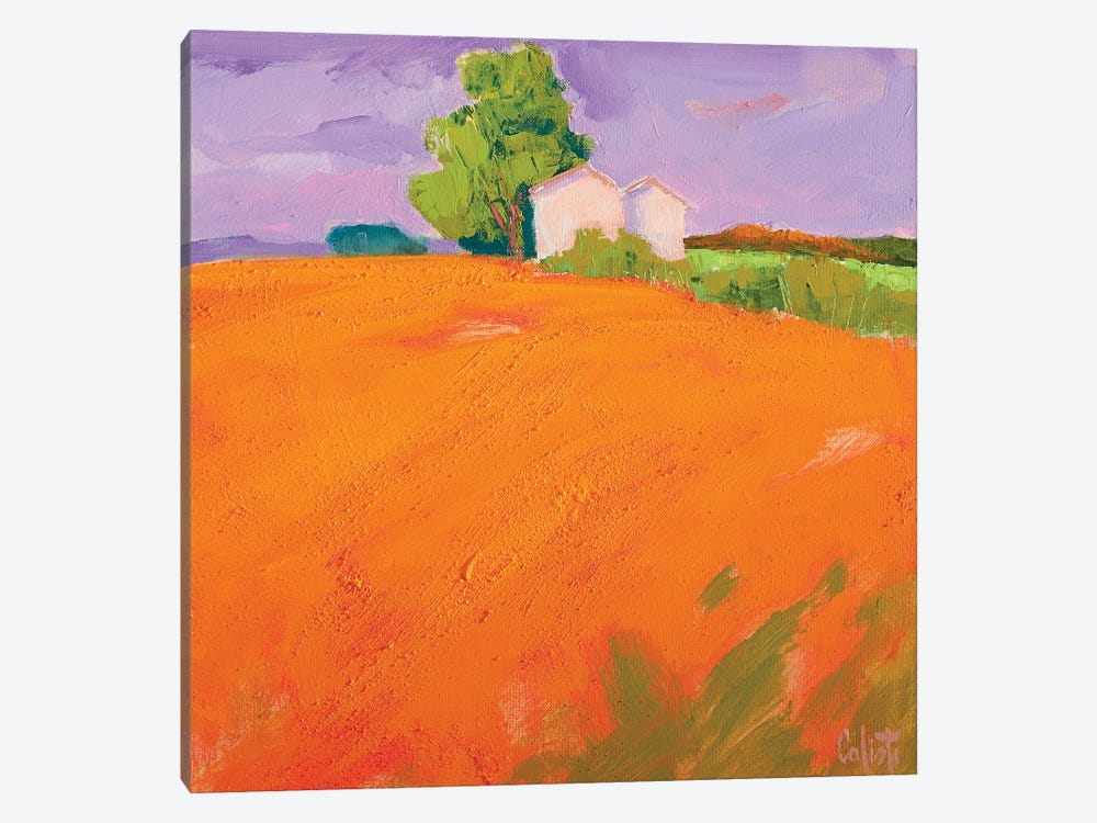 Wit For Me In The Orange Fields by Stefano Calisti 1-piece Art Print