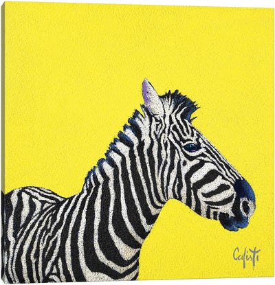 Zebra Canvas Art Print - Stefano Calisti