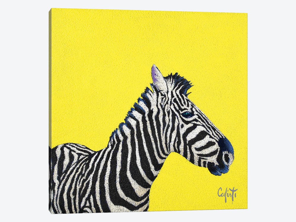 Zebra by Stefano Calisti 1-piece Canvas Wall Art