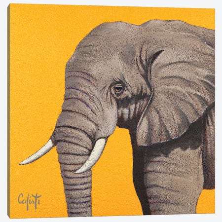 Elephant Canvas Print #SFC6} by Stefano Calisti Canvas Artwork