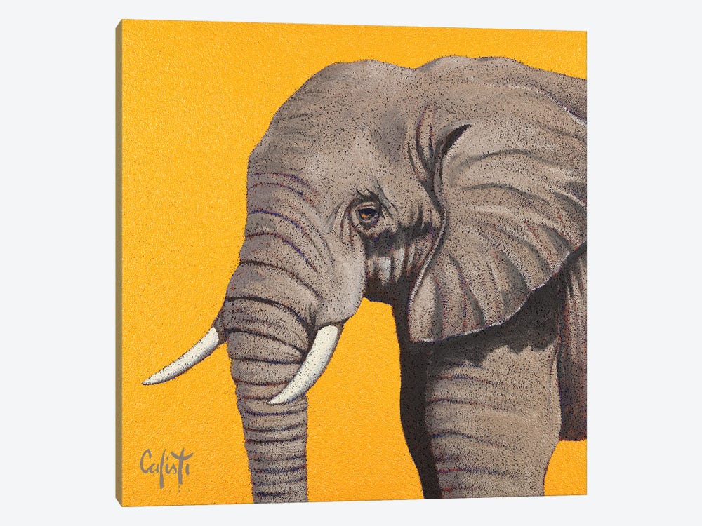 Elephant by Stefano Calisti 1-piece Canvas Wall Art