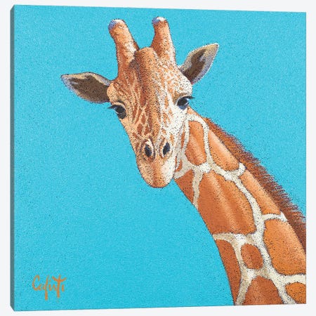 Giraffe Canvas Print #SFC7} by Stefano Calisti Canvas Wall Art