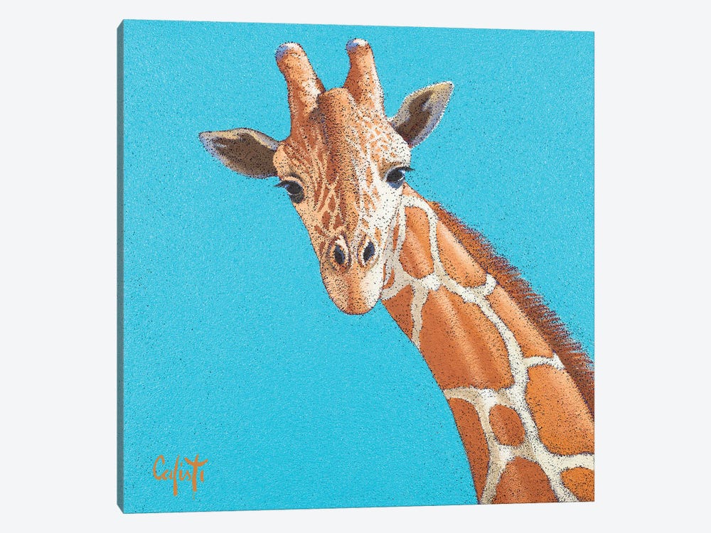 Giraffe by Stefano Calisti 1-piece Canvas Print