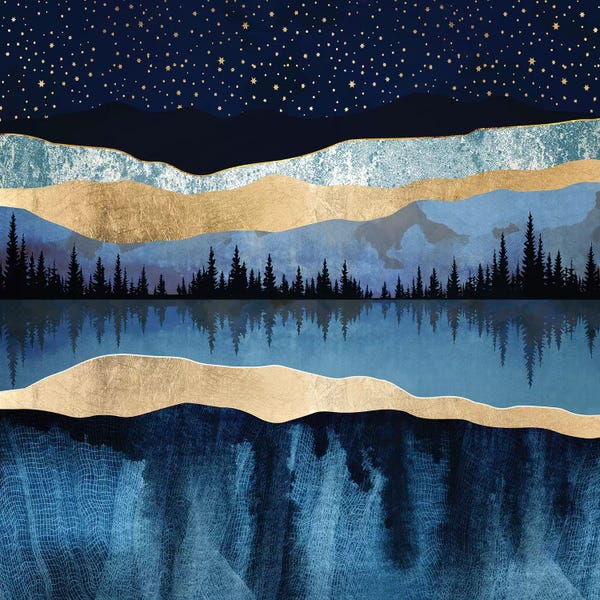 Older Kids Room: Midnight Lake by SpaceFrog Designs