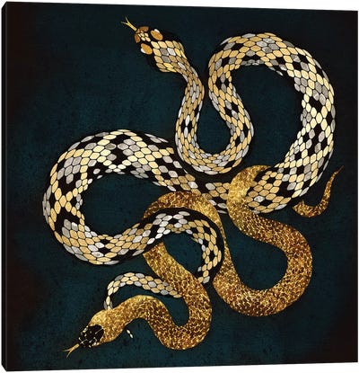 Balance Canvas Art Print - Snake Art