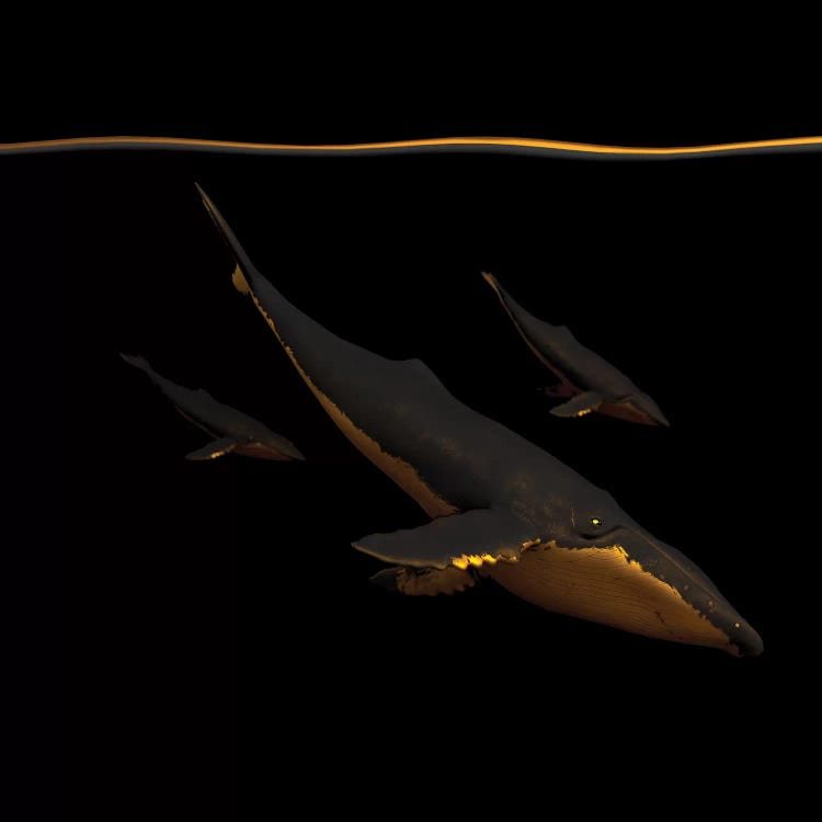 Bond III  by SpaceFrog Designs wall art