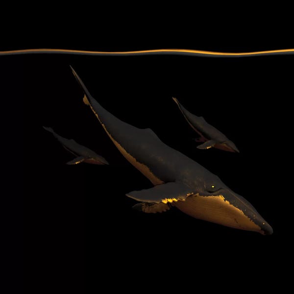 Whales: Bond III  by SpaceFrog Designs