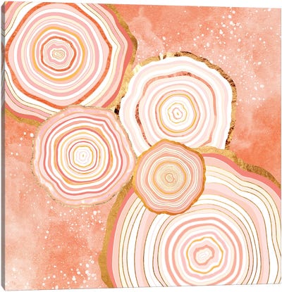 Coral Agate Abstract Canvas Art Print - Tempered Tastes