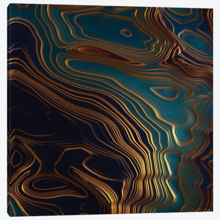 Peacock Ocean Canvas Print #SFD205} by SpaceFrog Designs Canvas Art