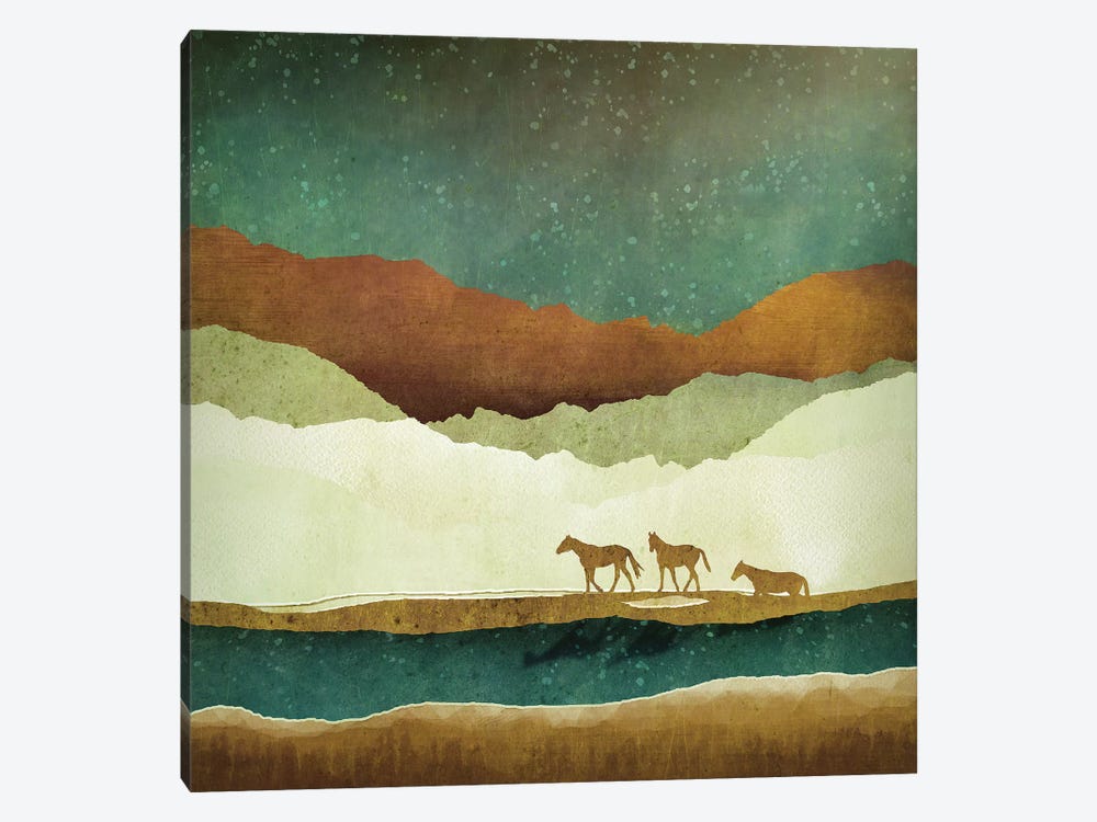 Stary Range  by SpaceFrog Designs 1-piece Canvas Artwork