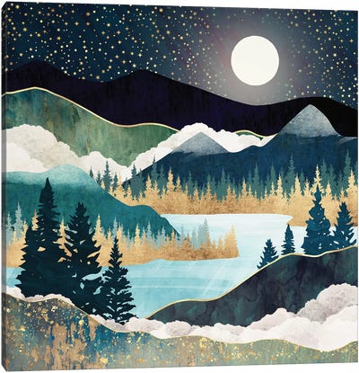 Star Lake Canvas Art Print - Nature Art