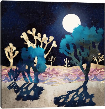 Desert Lake Moonlight Canvas Art Print - Jewel Tones