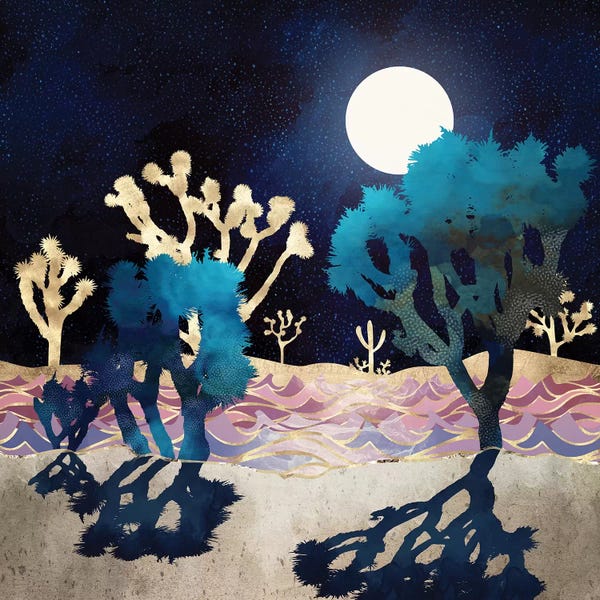 Office: Desert Lake Moonlight by SpaceFrog Designs