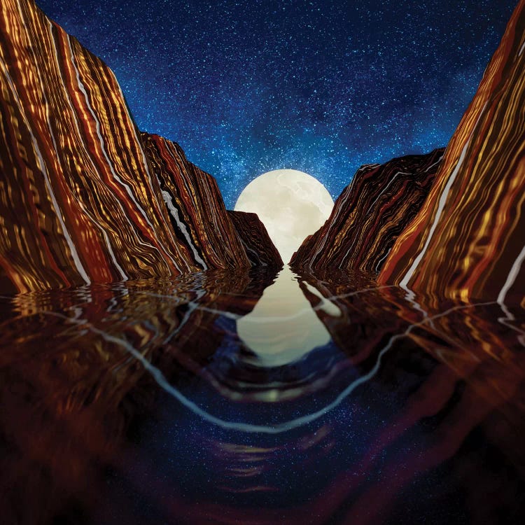 Moon Reflection by SpaceFrog Designs wall art