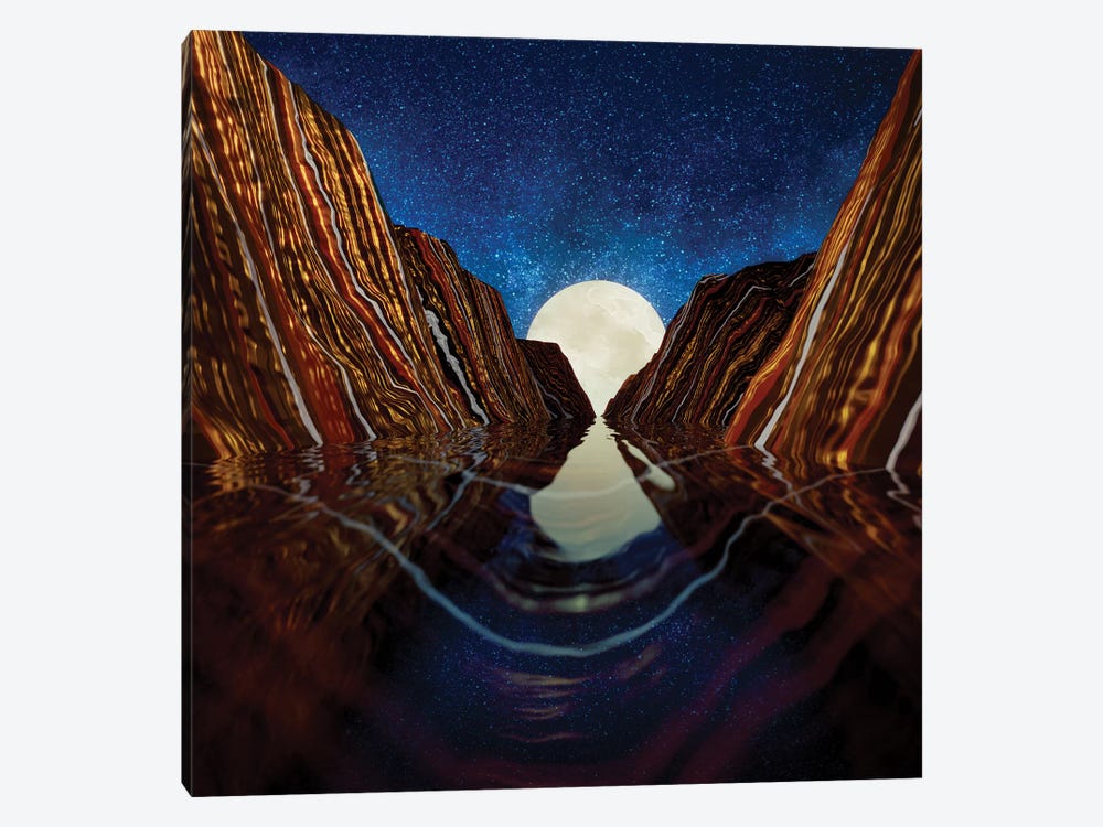 Moon Reflection by SpaceFrog Designs 1-piece Art Print