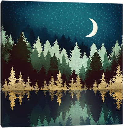 Star Forest Reflection Canvas Art Print - Night Sky Art