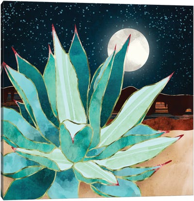 Desert Agave Canvas Art Print - Astronomy & Space Art