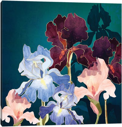 Iris Abstract Canvas Art Print - Jewel Tones