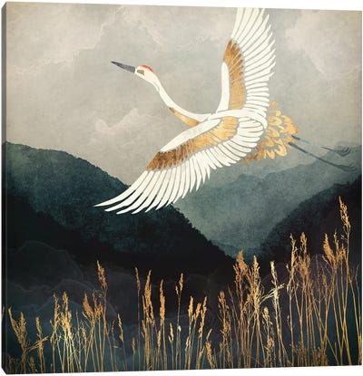 Elegant Flight Canvas Art Print - Crane Art