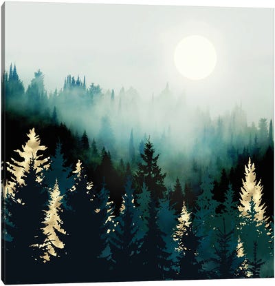 Forest Glow Canvas Art Print - Pine Tree Art