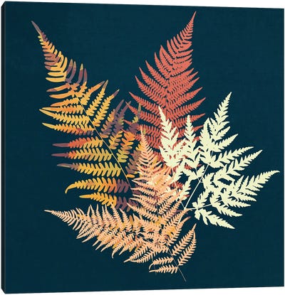 Autumn Fern Canvas Art Print - Ferns