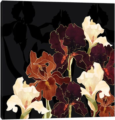 Autumn Iris Canvas Art Print - Iris Art