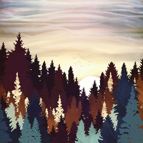 Pine Trees: Autumn Forest Sunset by SpaceFrog Designs