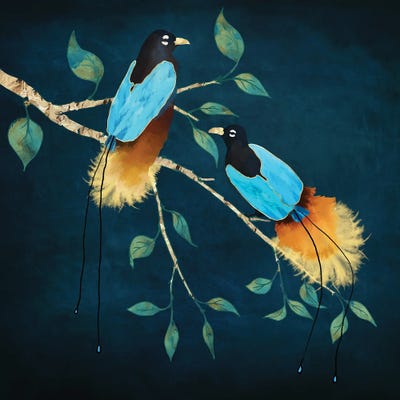 Bird Of Paradise I by SpaceFrog Designs framed wall art