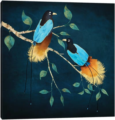 Bird Of Paradise I Canvas Art Print - SpaceFrog Designs