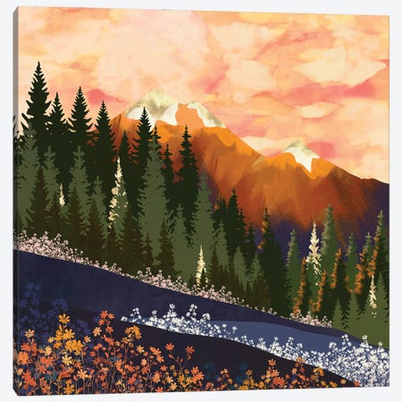 Mountain Dusk Canvas Print #SFD433} by SpaceFrog Designs Canvas Art