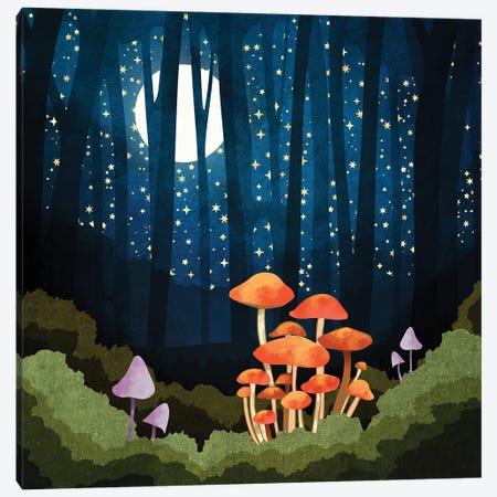 Midnight Mushrooms Canvas Print #SFD452} by SpaceFrog Designs Canvas Artwork