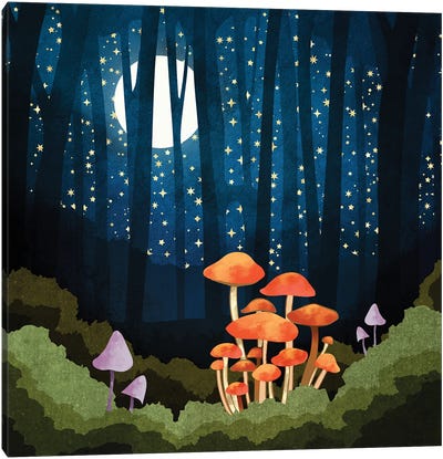 Midnight Mushrooms Canvas Art Print - Mushroom Art