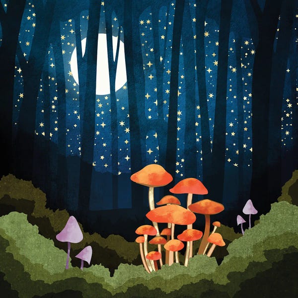 Night Sky: Midnight Mushrooms by SpaceFrog Designs