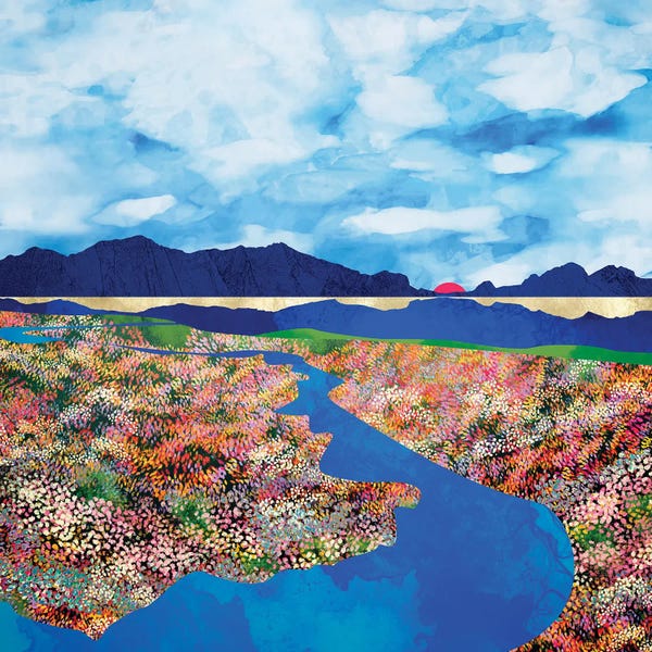 Flower Field Stream