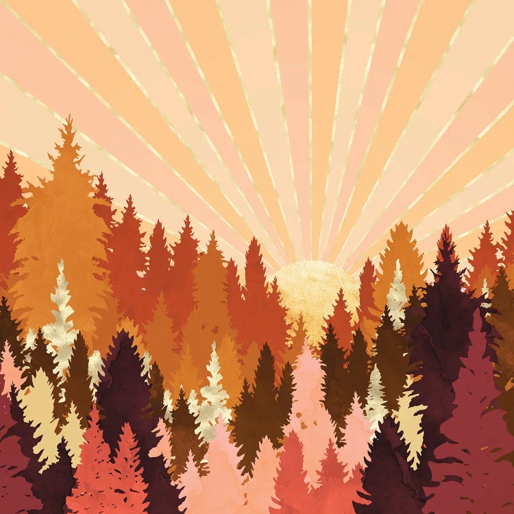 Autumn Forest