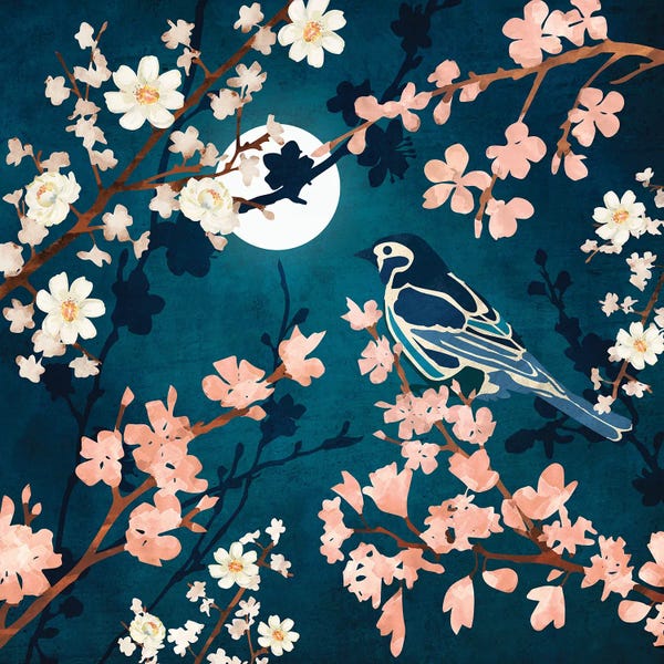 Cherry Blossoms: Midnight Blossom by SpaceFrog Designs