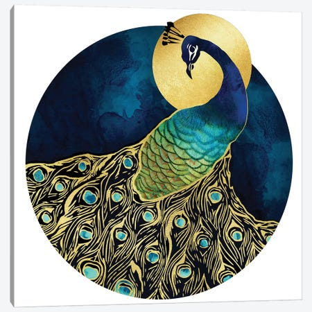 Golden Peacock Canvas Print #SFD50} by SpaceFrog Designs Canvas Art