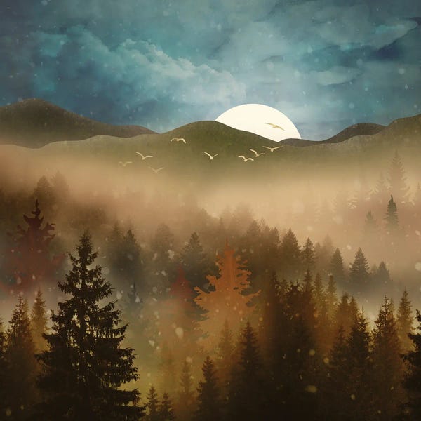 Lakehouse Décor: Winter Forest Mist by SpaceFrog Designs