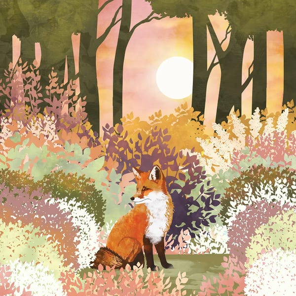 Spring Fox