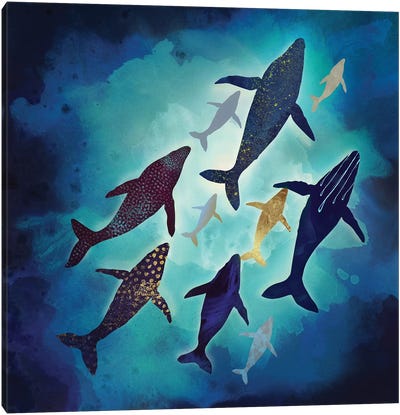 Light Above Canvas Art Print - Whale Art
