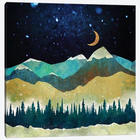Snow Night Canvas Print #SFD93} by SpaceFrog Designs Canvas Art