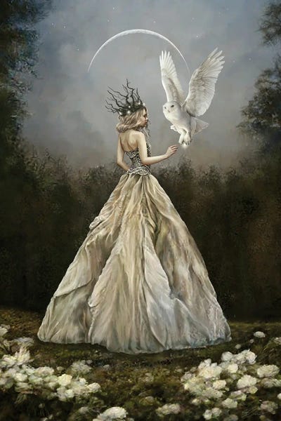 Crowns: Crown Of Thorns And Stars by Selina Fenech